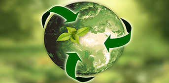 Capacitação para a transição ecológica